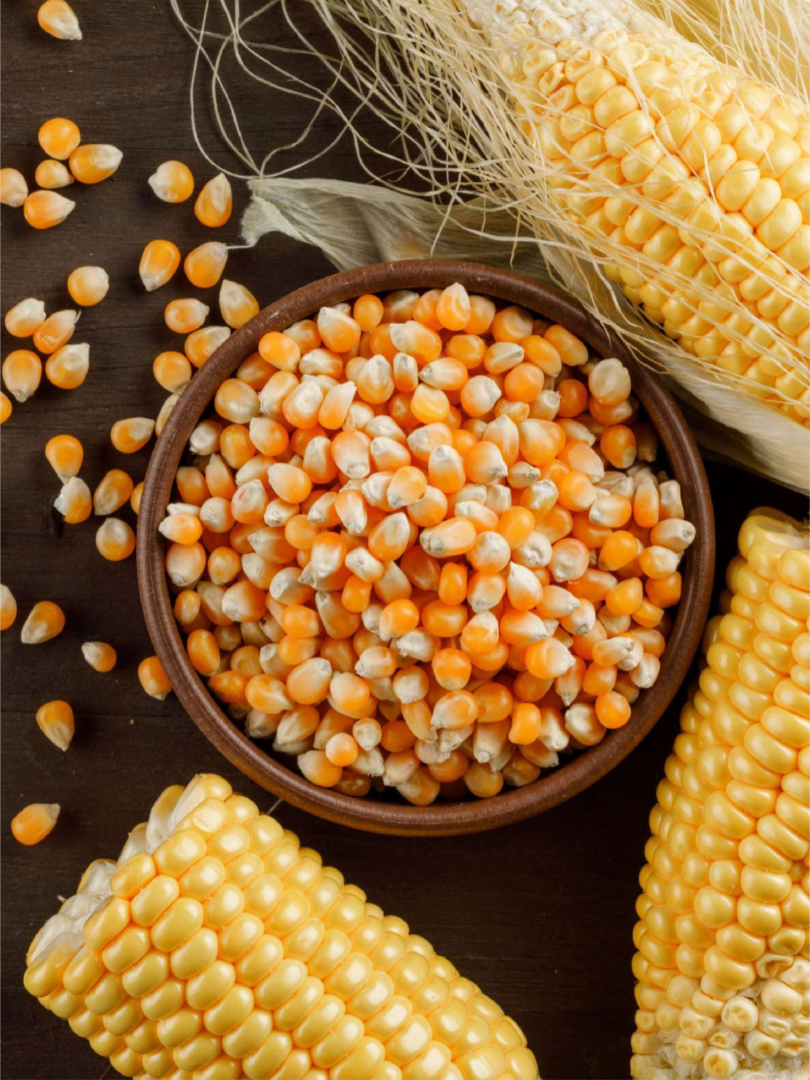 Yellow Corn for Human Consumption