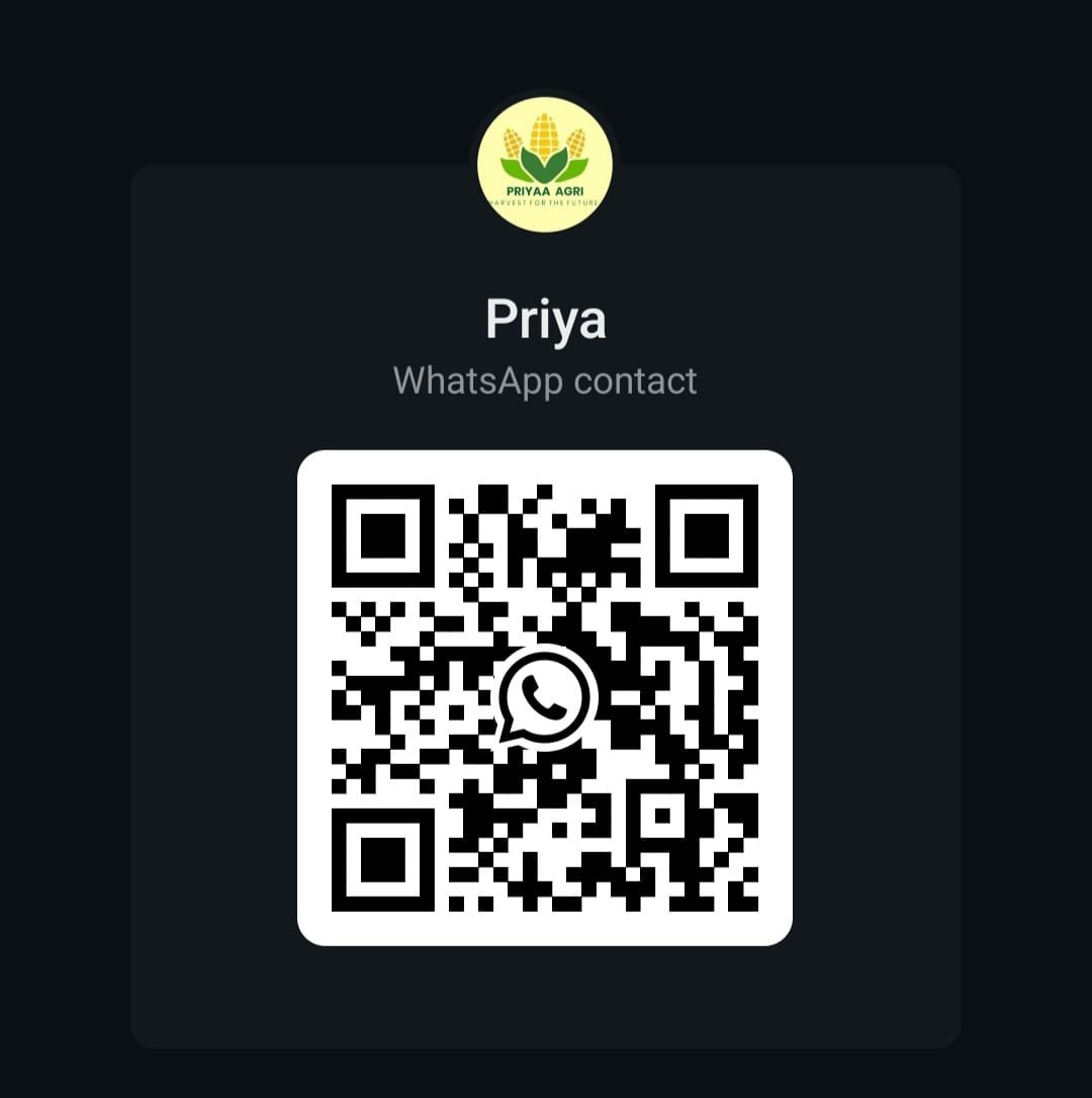 WhatsApp QR Code