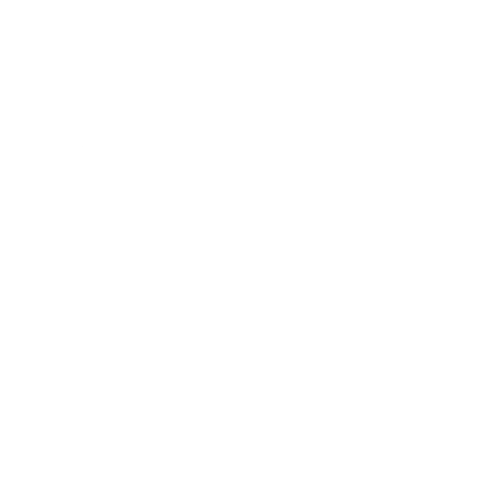 Non Basmati Rice